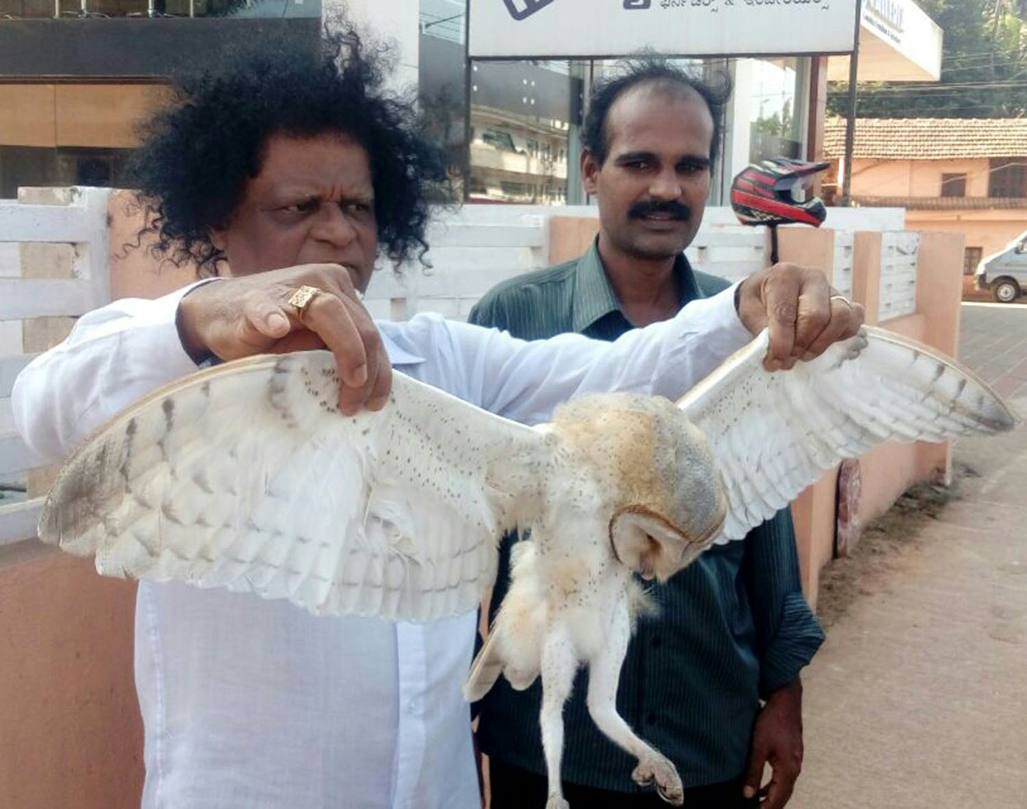 ವಿದ್ಯುತ್ ಆಘಾತಕ್ಕೆ ಅಪರೂಪದ ‘ಬಿಳಿ’ ಗೂಬೆ ಬಲಿ